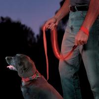 Red 5 Feet Long LED Pet Leash , Light Up Dog Leash OEM ODM Available