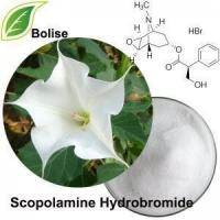 114-49-8 Scopolamine Hydrobromide