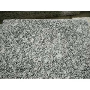 Guangdong Silver Grey Granite Tiles Sea Wave Flower Granite Floor Tiles Granite Slabs