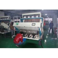 China Broad Bean Color Sorter Machine CCD Colour Sorter With Full Color Technology on sale