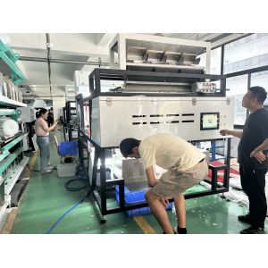 China Optical WYDB4 Soapberry Color Sorting Machine for Soup Pods Color Separator Machine With High Sorting Capacity wholesale