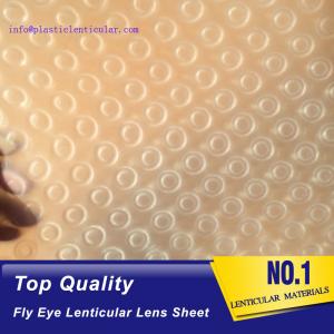 PLASTIC LENTICULAR double sided dots 360 3d effect fly eye lenticular film plastic sheets