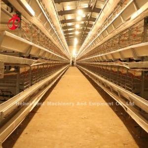 Full Automatic H Type Battery Cages Hens Is Hot Sale In Africa Market Mia