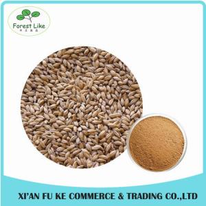 Barley Malt Extract Powder Hordenine 98%