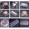 custom clear blister plastic high quality food packaging trays for Cherry Tomato