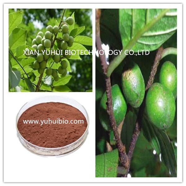 pygeum africanum extract,pygeum extract,pygeum bark extract,pygeum africanum