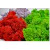 China Preserved Moss wall decoration interior decoration beautiful stabilized preserved reindeer moss wholesale