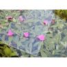 China 3.2mm Extra Clear Tempered Non Reflective Glass For PV Panel wholesale