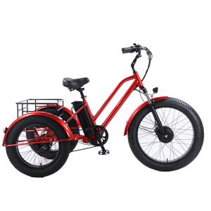 China Front 24 Rear 20 Snow Tire Electric Tricycle with SHIMANO Rear 7-Speed and 48V15A Battery supplier