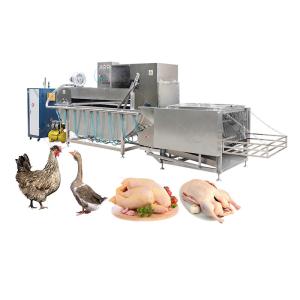 China 12r/min 革命 鶏肉 焼却器 最新の設計された屠殺技術のためのピラッカー wholesale