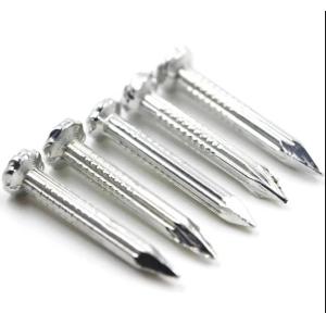 China Latest Metal Building Galvanized Steel Concrete Nails 2 Inch wholesale