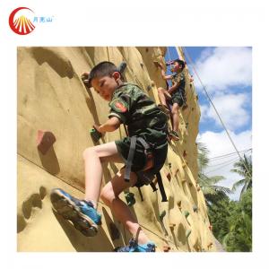 Removable Rock Climbing Practice Board Wall Fiberglass For Trampoline Park