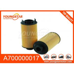 A700000017 Oil Filter Automobile Engine Parts For Foton Savanna SUV 2.0TD