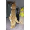 China Hi quality kangaroo Animal Mascot Costumes for Adults wholesale