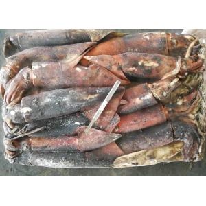 frozen giant squid  500-100 dosidicus gigas BQF good freshness Peru giant squid frozen squid rings