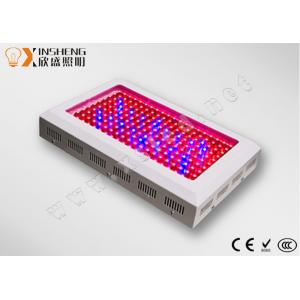 China High power 2000w 85 - 264V led grow light panels works well with indoor garden,hydroponics supplier