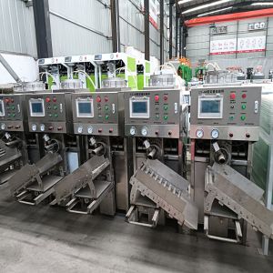 Machine de remplissage de sacs à valve entièrement automatique pour poudre de ciment, enduit polyester, mortier sec, avec scellage