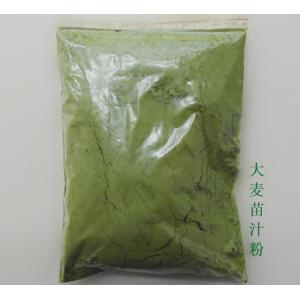 China オオムギ草ジュースの粉25回の濃縮物のオオムギ草のエキスの粉 supplier