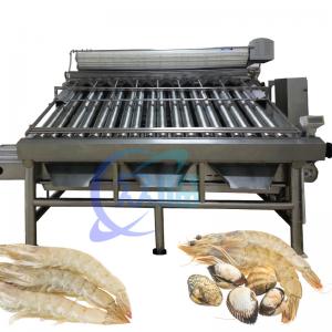 380V 50Hz Shrimp Grading Machine Multifunctional For Prawn Sizing