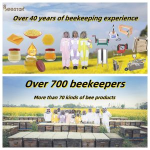 China Handmade Organic Honey Soap with 10% Honey for Nourishing and Moisturizing 100g/box and 3 Years Shelf Life wholesale