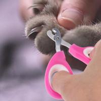 China Pink Color Pet Nail Scissors , Pet Pedicure Nail Grinder Ergonomic Design on sale