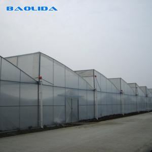 China Vegetable Polyethylene Plastic Sheeting Greenhouse Galvanized Steel Frame supplier