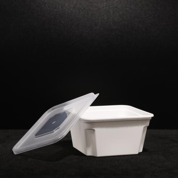 Durable PP Lunch Box for Hot and Cold Food with Customization Logo In Outdoor