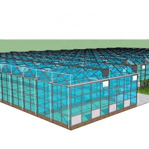 China Customized Glass-Covered Vegetable Greenhouse for Restaurant Growth supplier