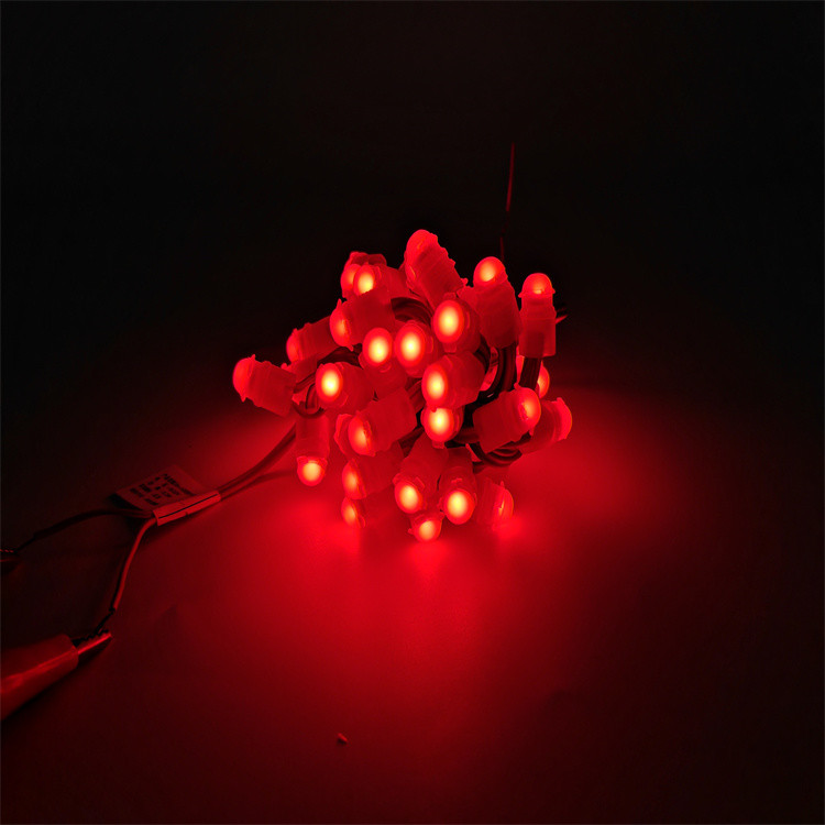 Miracle Bean LED Christmas Decorations LED Point Light Single Color LED programmable  Pixel Light