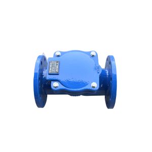 China Durable Rubber Flap Check Valve for Efficient Flow Control wholesale