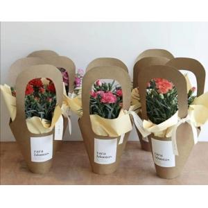 China 250g Kraft Flower Bouquet Paper Bag Recyclable Home Decoration supplier