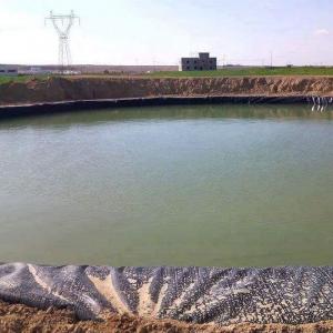 0.2mm-3mm Thickness HDPE Geomembrane for Fish Farm Pond Liner Earthwork Products