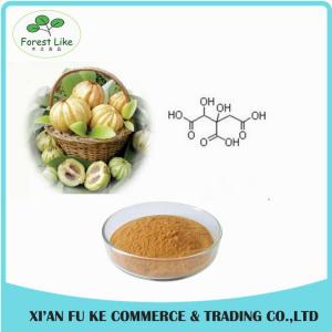 50% Garmbogic Acid Wholesale High Nutrational Value Product Garcinia Cambogia Extract