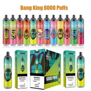 Bang King 6000 Vape Fruit Flavor 15ml 6000puffs Mesh Coil Rechargable Disposable