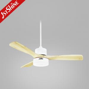 China Winter Season Smart Bldc Ceiling Fan With Light By Reversible Function supplier