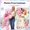 China Cheap Design Custom Stuff Toy Support CE ASTM OEM ODM Stuffed Animals Plushie Toy Stuffed Toy Custom Plush Dolls wholesale