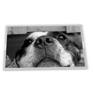 China KG057QV1CA-G000   5.7'' 320*240   Parallel Data Connector LCD Display Modules supplier