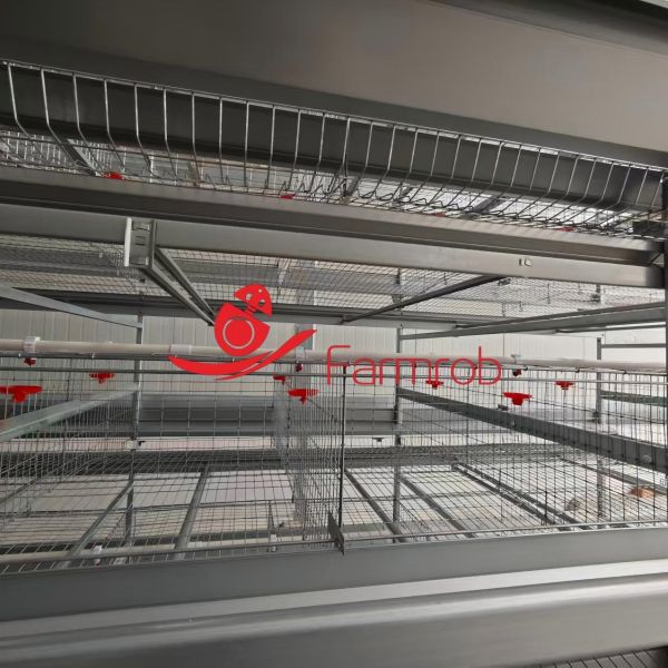China 3-12 Tiers H Type Layer Chicken Cage System with 1260*650*450 and 1800*650*450 Cage Sizes for Stable Egg-Collection wholesale