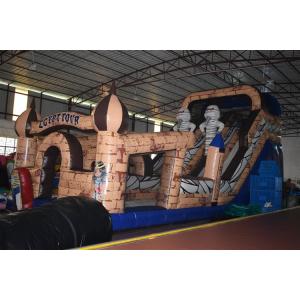 Egyptian Pharaoh Themed Commercial Inflatable Water Slides Long And High For 3 - 15 Years Old Children