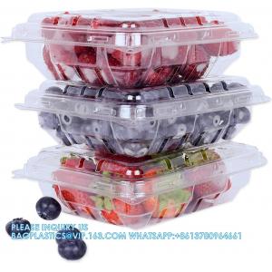 Wholesale Transparent Fresh Strawberry Packaging Container Supermarket Food Plastic Box Plastic Strawberry Packing Box