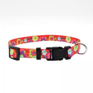 China Wholesale Plain Nylon Braided Training Dog and Cat Collars and leash for walking supplier