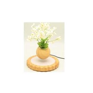 China wooden magnetic levitate floating bottom air bonsai pot tree supplier