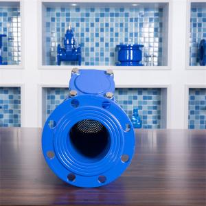 Ductile Cast Iron Flange Y Type Strainer Filter Valve For Water Line Dn150