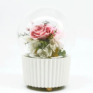 China 3-5 Years Lasting Preserved Rose Glass Dome Beautiful Home Decor Day Gift wholesale