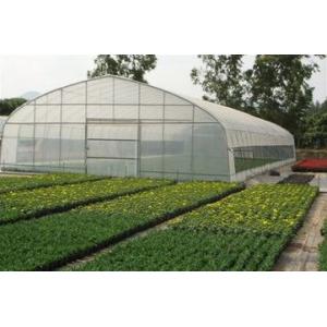 Agriculture Small Tunnel Greenhouse Anti Fog With Huge Roof / Side Ventilation