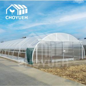 Roof Ventilation Single Tunnel Greenhouse Flower Farm Greenhouse 10*30m