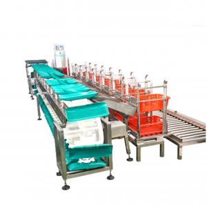 China High Accurate Checkweigher Conveyor For Packing Weighing Machine supplier