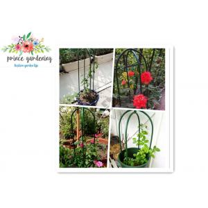 China Eco Friendly Solid Durable Green Ushape Pipe Flower Support Garden Plant Supports supplier