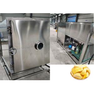 PLC Control Freeze Dry Fruit Machine Equipment 100Kg 200Kg