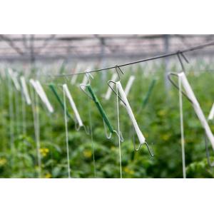 Uv Treated Greenhouse Use Tomato Tying Twine